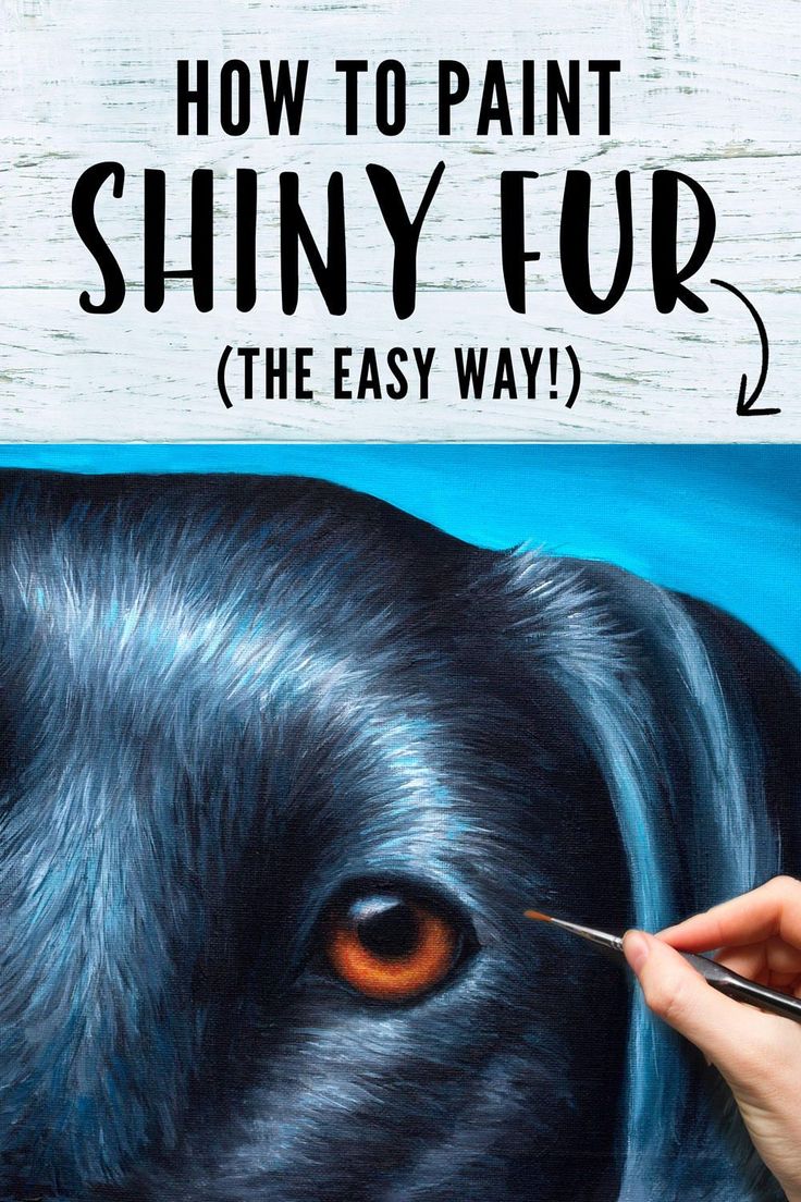 someone is painting a black dog's face with the words, how to paint shiny fur the easy way