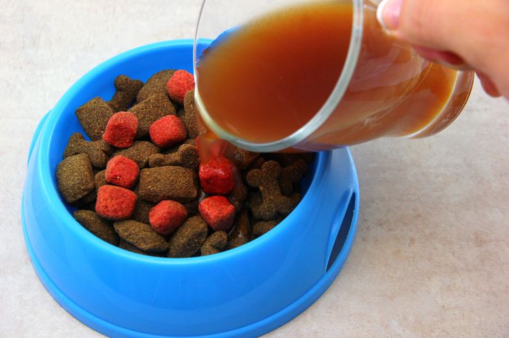 a person pouring syrup into a blue bowl full of dog food with red and brown puppy bites in it