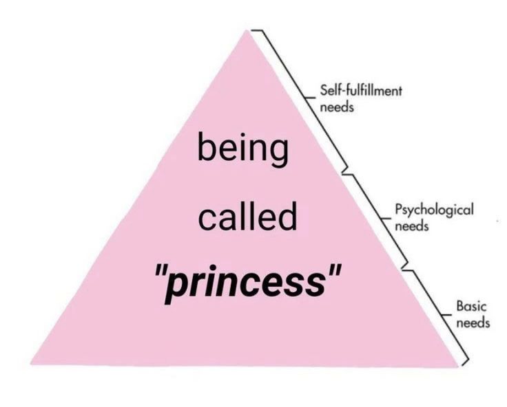 a pink triangle with the words being called princess