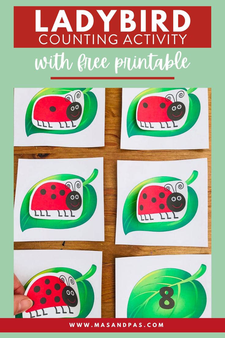 ladybug counting activity with free printables for toddlers to practice counting