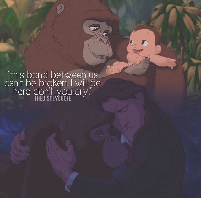 Tarzan song lyrics "...this bond between us can't be broken. I will be here don't you cry" Tarzan Quotes, Rick And Morty Pickle Rick, Ulquiorra Schiffer, I Will Be Here, Tattoo Disney, Pickle Rick, Disney Songs, Disney Fanatic, Phil Collins