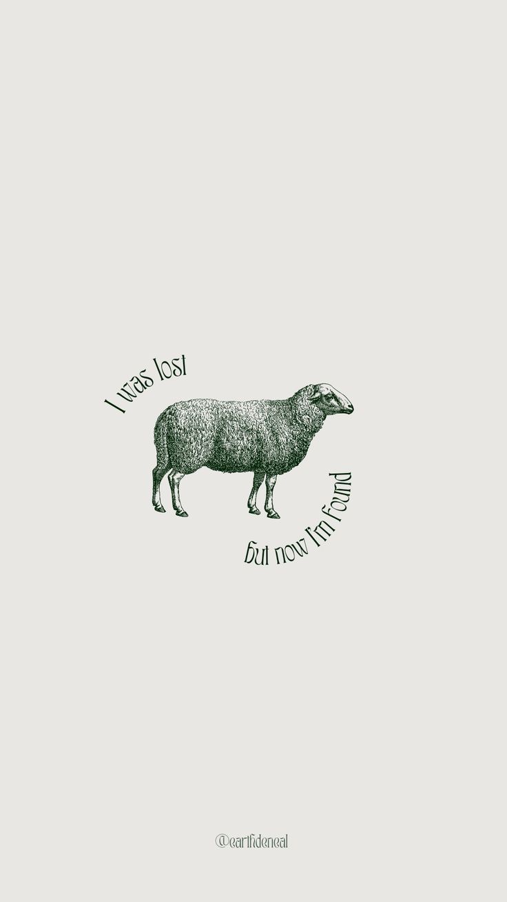 a drawing of a sheep with words on it's back and the bottom part of its body