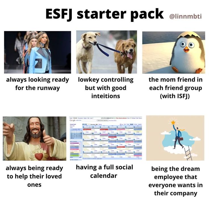 Mbti Aesthetic, Esfj Memes Funny, Esfj Personality, Infp Mbti, Funny Mbti Memes, Mbti Entp Memes, Mbti Intp, Entp Infj Meme, Enneagram 8