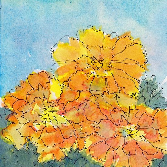 watercolor and ink painting of yellow flowers