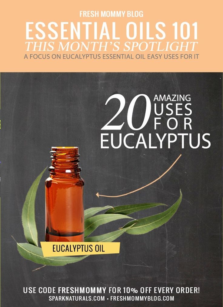 Eucalyptus Essential Oil Uses, Eucalyptus Oil Uses, Essential Oils 101, Essential Oil Remedy, Oil Remedies, Florida Lifestyle, Essential Oil Benefits, Doterra Oils, Eucalyptus Oil