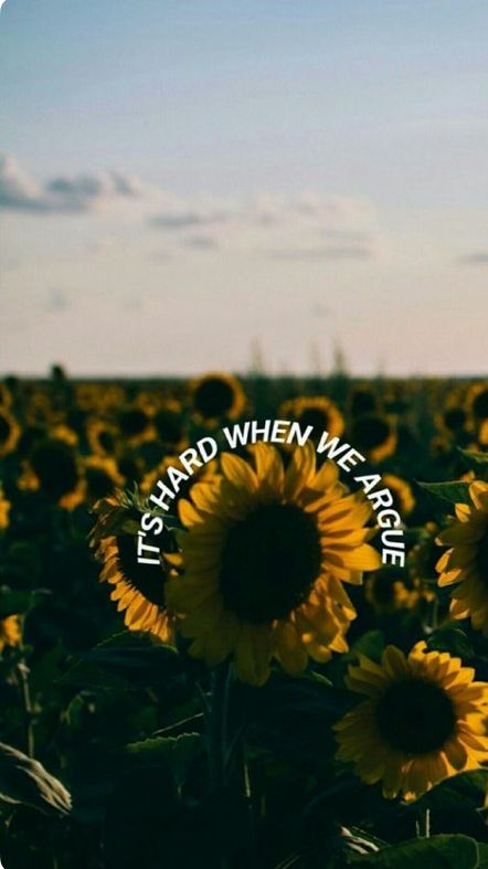 sunflowers in a field with the words let's hard when we were here