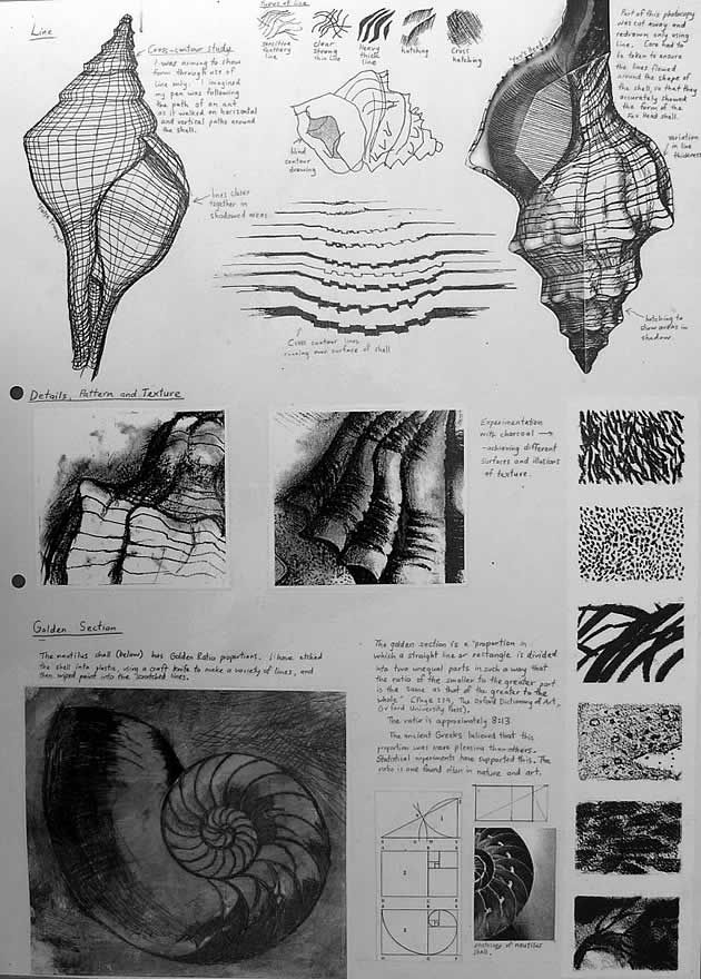 some drawings are shown in black and white