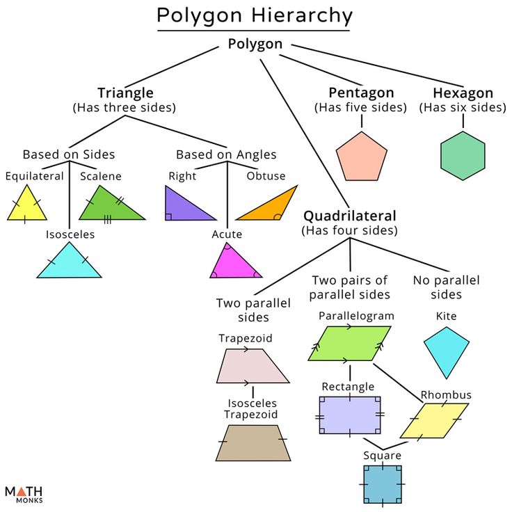 the polygonn diagram shows different shapes and sizes