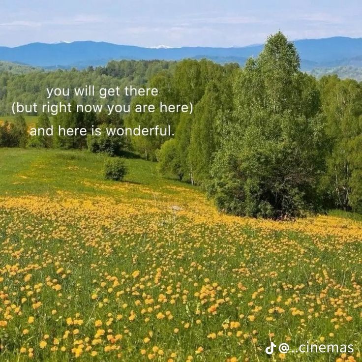 a field full of yellow flowers with a quote on the side that says, you will get there but right now you are here and here is wonderful