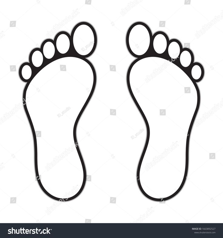 the footprints of a dog or cat on a white background with clipping for text