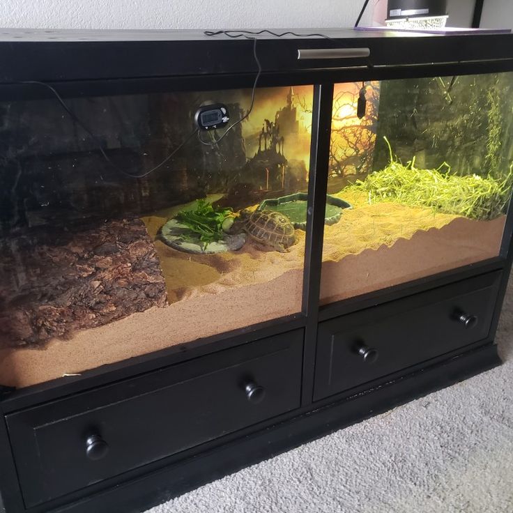 an aquarium is shown with plants and rocks on the bottom shelf, in front of a white wall