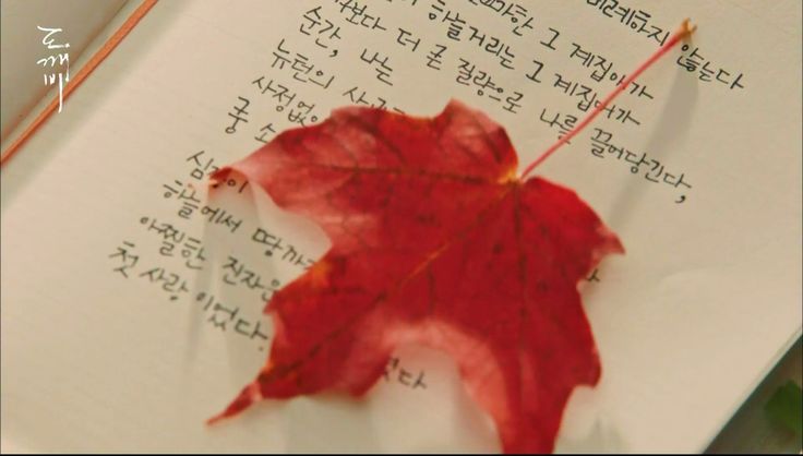 an open book with writing on it and a red leaf laying on top of it