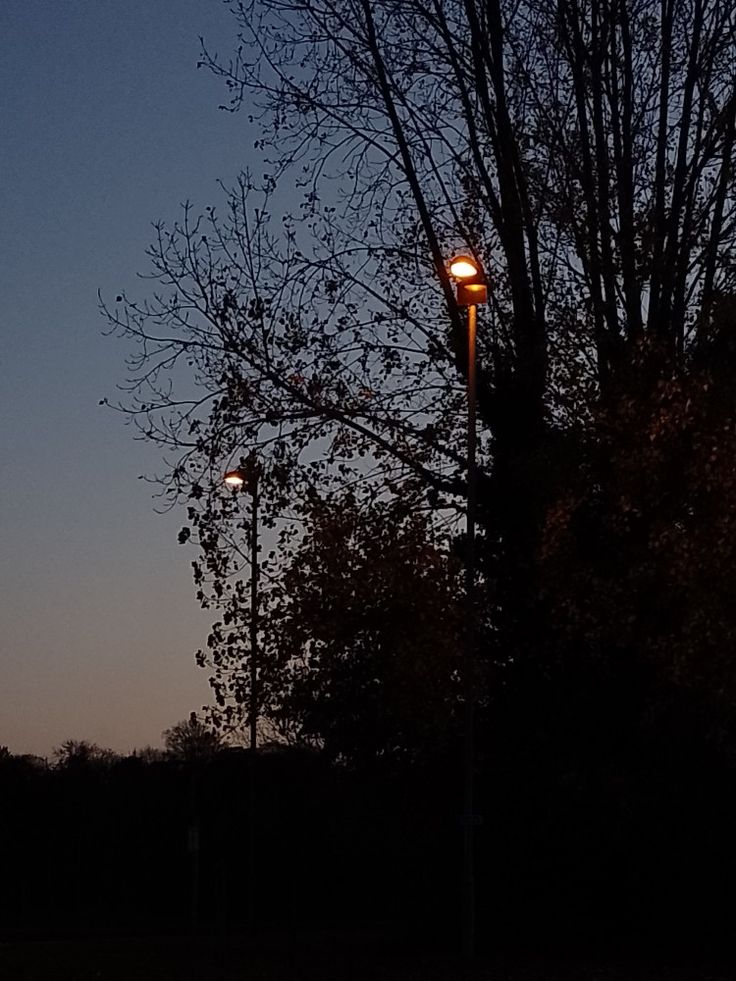 two street lamps are lit up in the evening sky near some bare trees and bushes