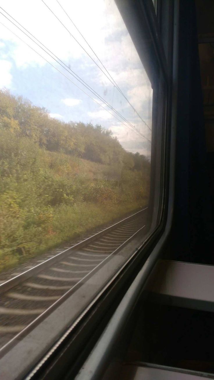 the view from inside a train window looking at grass and trees