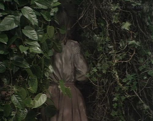 a woman standing in the middle of some bushes