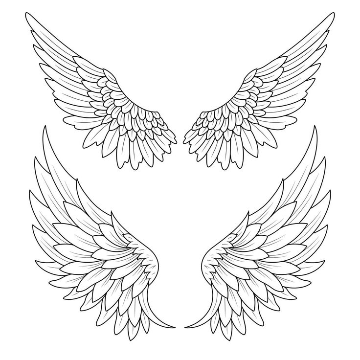 two wings that are drawn in line on a white background