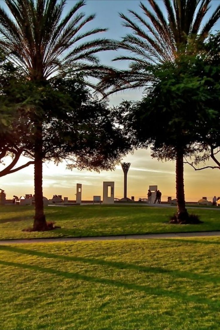 the sun is setting behind some palm trees in a grassy area with people walking around