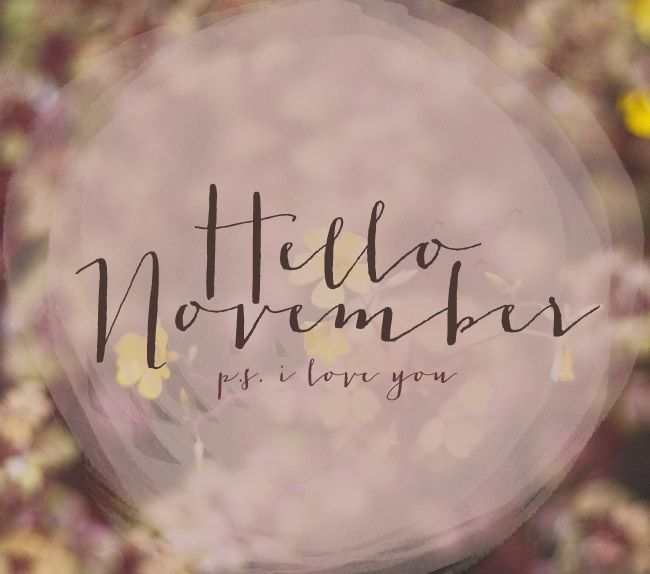 the words hello november are overlaided with small yellow and pink flowers in front of a blurry background