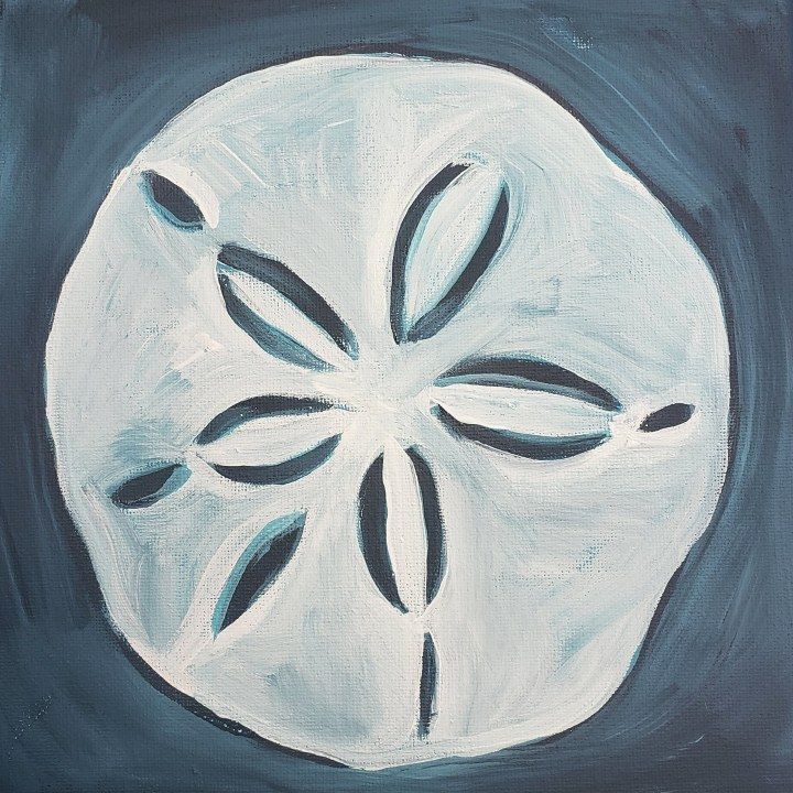 a painting of a white sand dollar on a black background