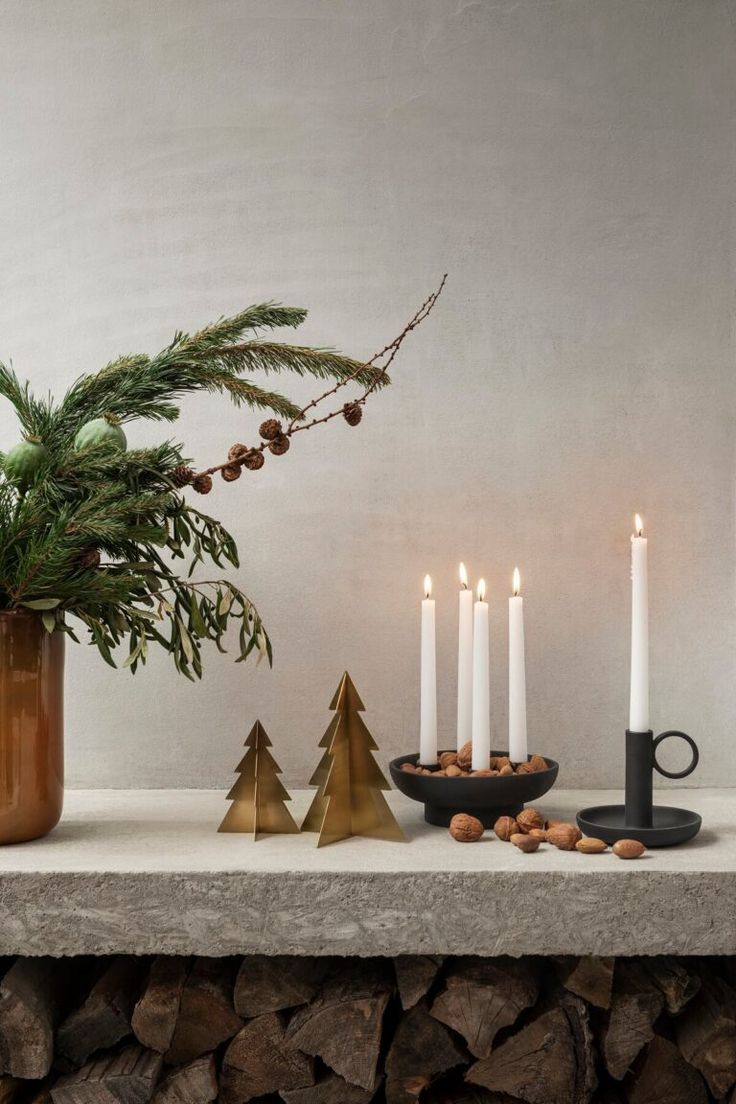 a table topped with candles and pine cones next to a potted plant on top of a stone slab