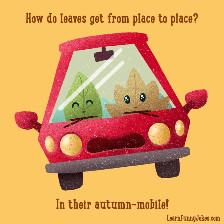 two cats in a red car with the caption how do leaves get from place to place?