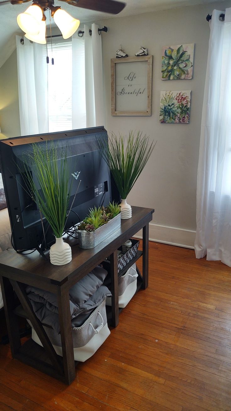 a tv sitting on top of a wooden table next to a planter filled with succulents