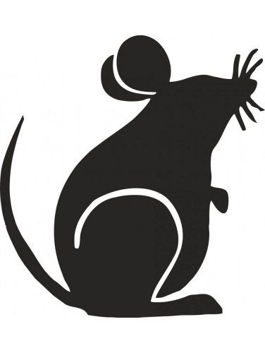 a black rat sitting on its hind legs