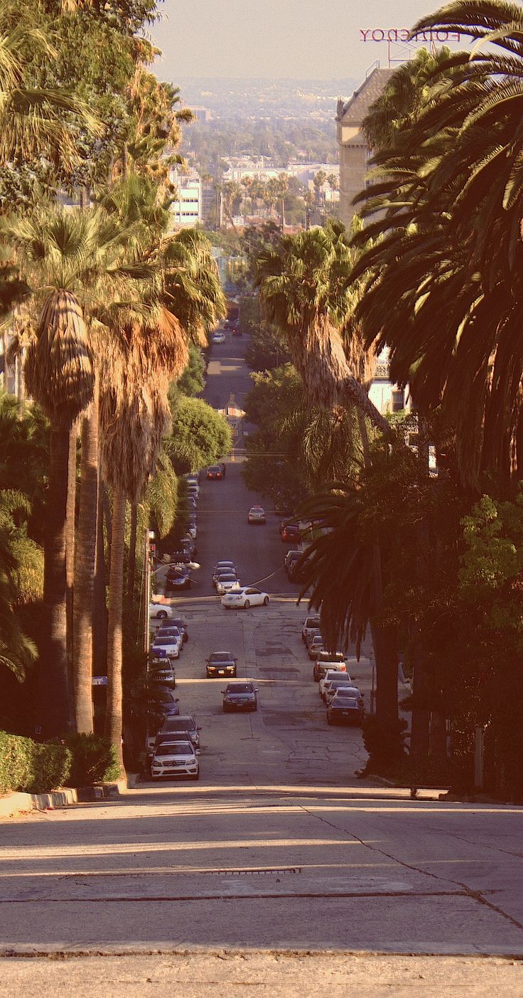 an empty street lined with palm trees and cars parked on the side of the road