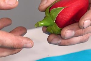 two hands are holding a red flower with green leaves on it and another hand is reaching out to the petals