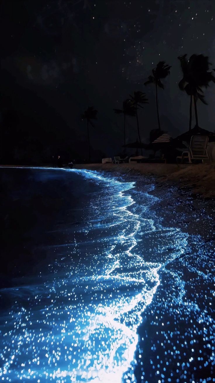 the beach is lit up at night with stars in the sky and on the water