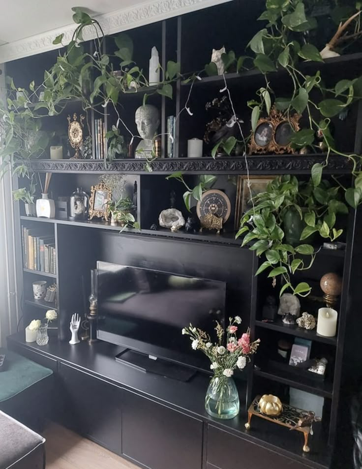 a living room filled with furniture and lots of green plants on top of the bookshelves