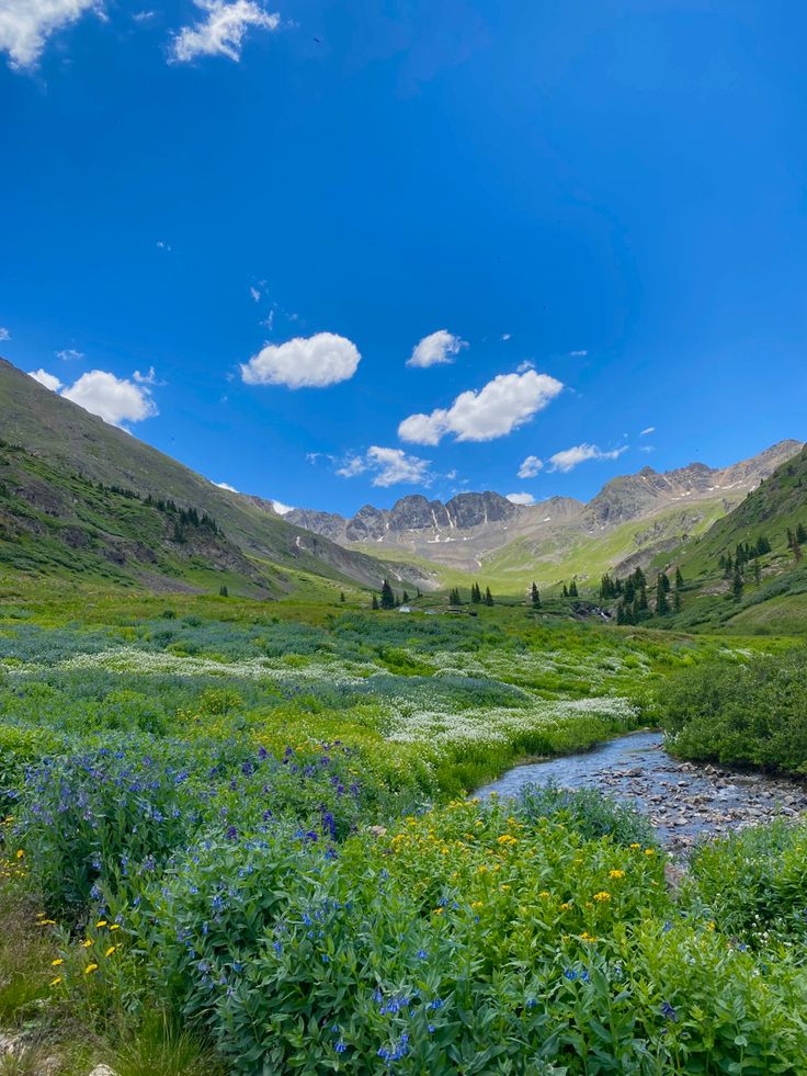 a river running through a lush green valley under a blue sky with puffy clouds