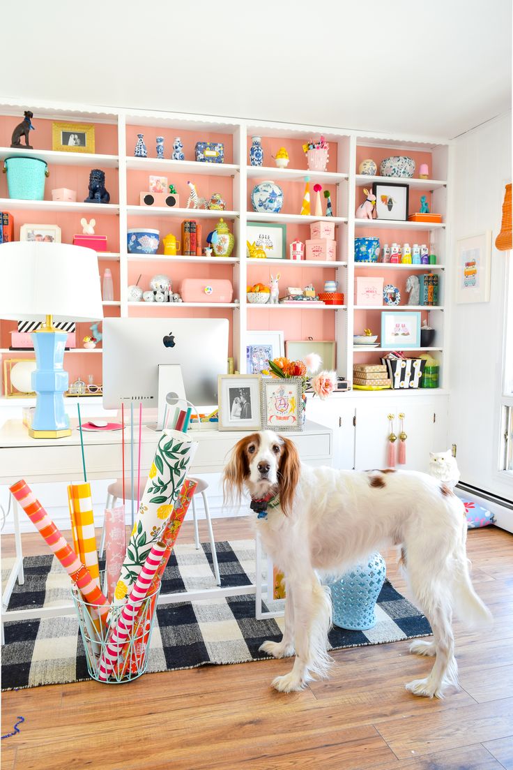 a dog standing in the middle of a room