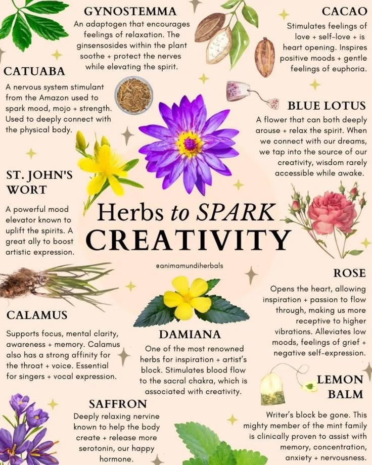 Herbal Education, Medicinal Herbs Garden, Medical Herbs, Magic Herbs, Magical Herbs, Herbal Apothecary, Healing Plants, Natural Healing Remedies, Herbal Healing