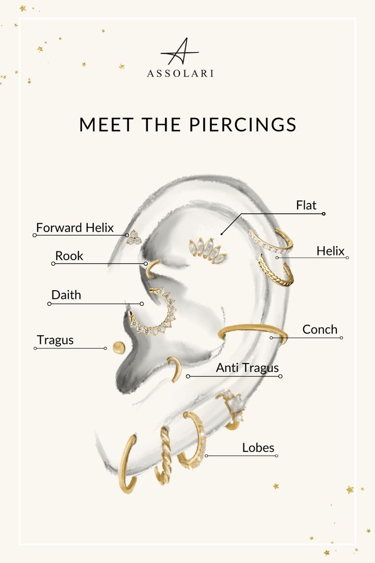 the parts of an ear in gold and white, with words describing which parts are labeled