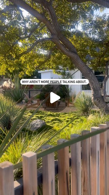 an image of a backyard with trees and plants