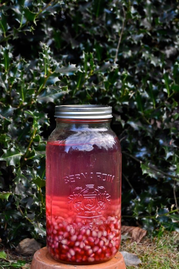 a mason jar filled with pomegranate sitting on top of a tree stump