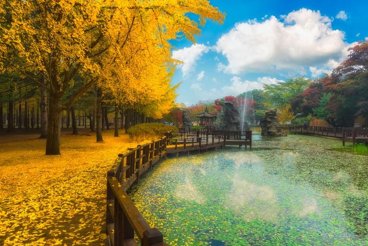 a pond surrounded by trees and yellow leaves