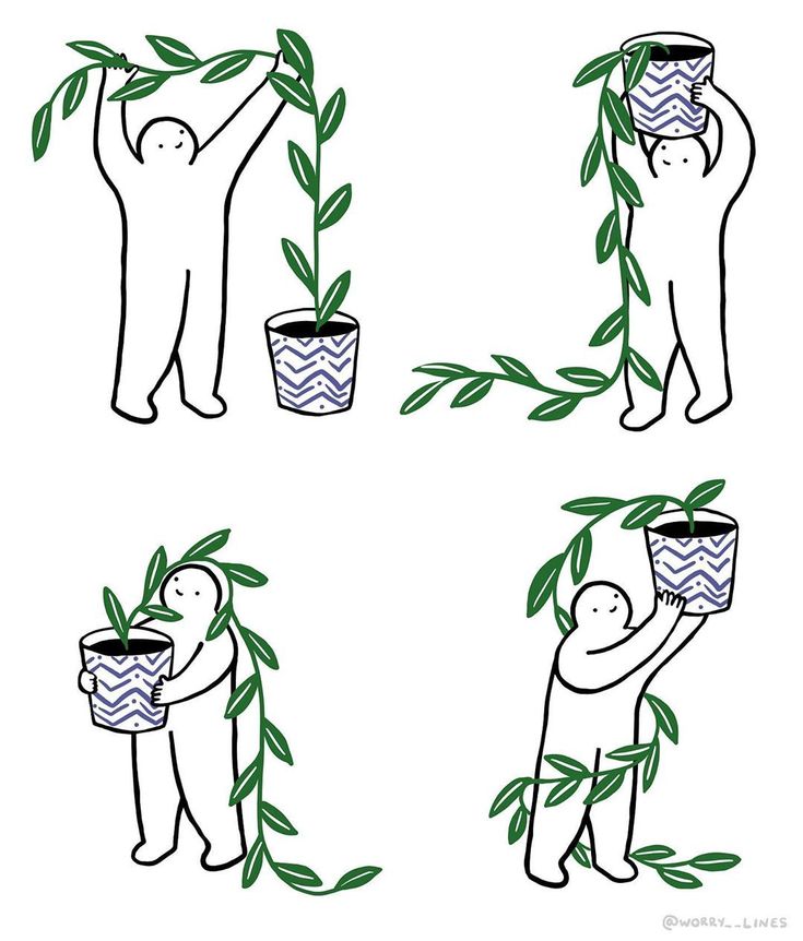 four images of people holding plants in their hands and one has a bucket with leaves on it