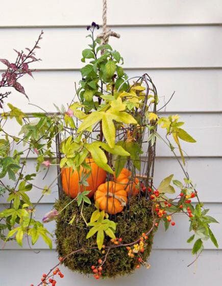 a hanging basket filled with oranges and greenery on the side of a house