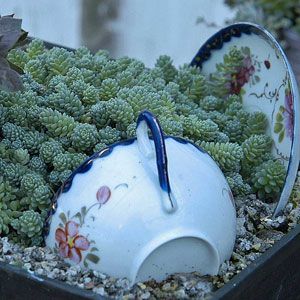 a white tea pot sitting on top of a planter filled with succulents