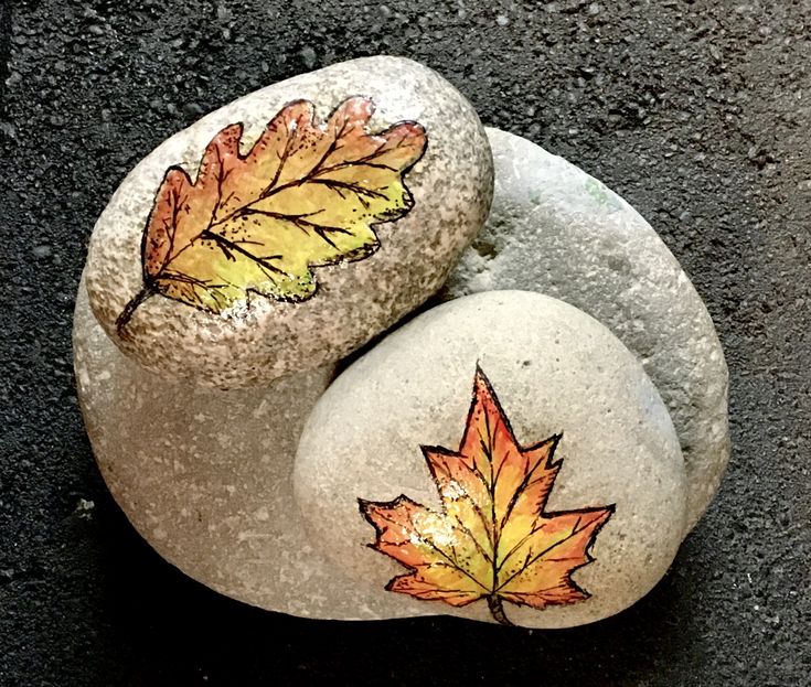 two rocks with leaves painted on them