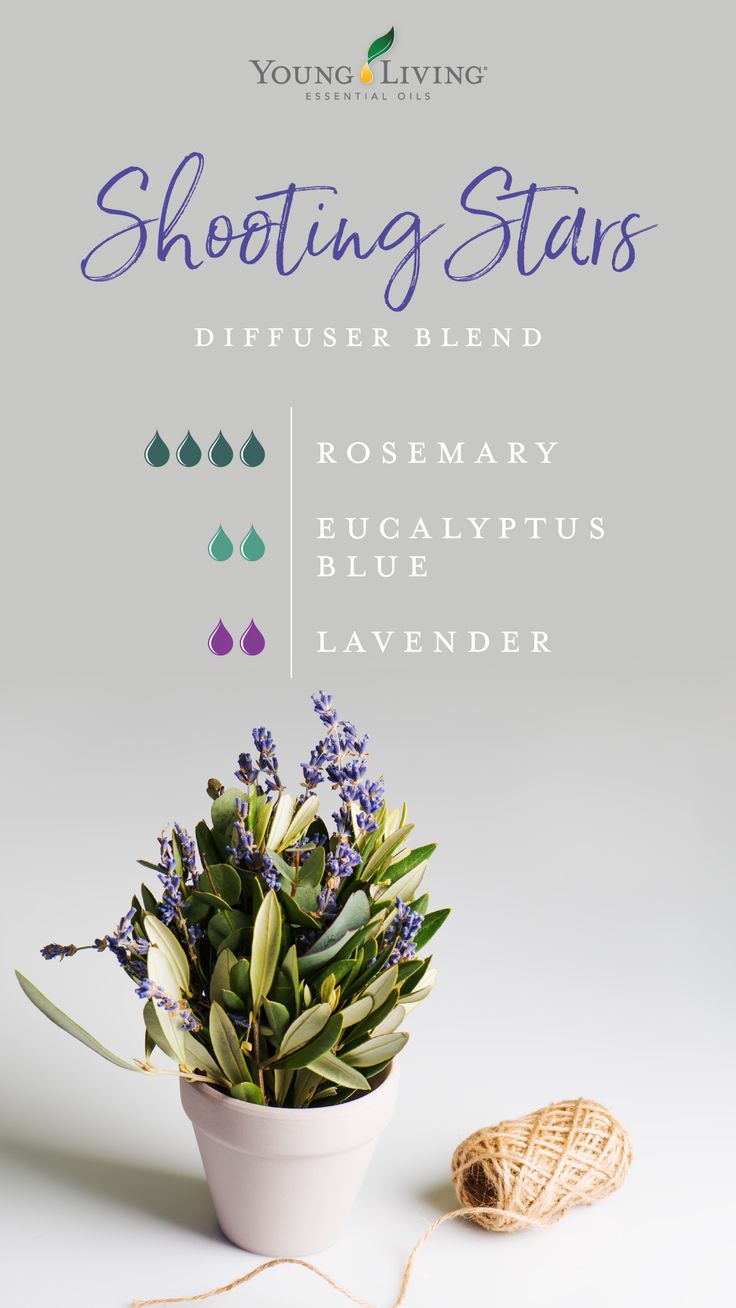 Eucalyptus Essential Oil Uses, Young Living Oils Recipes, Living Oils Recipes, Essential Oil Combinations, Essential Oil Diffuser Blends Recipes, Magia Das Ervas, Young Living Essential Oils Recipes, Essential Oils Guide, Essential Oil Diffuser Recipes