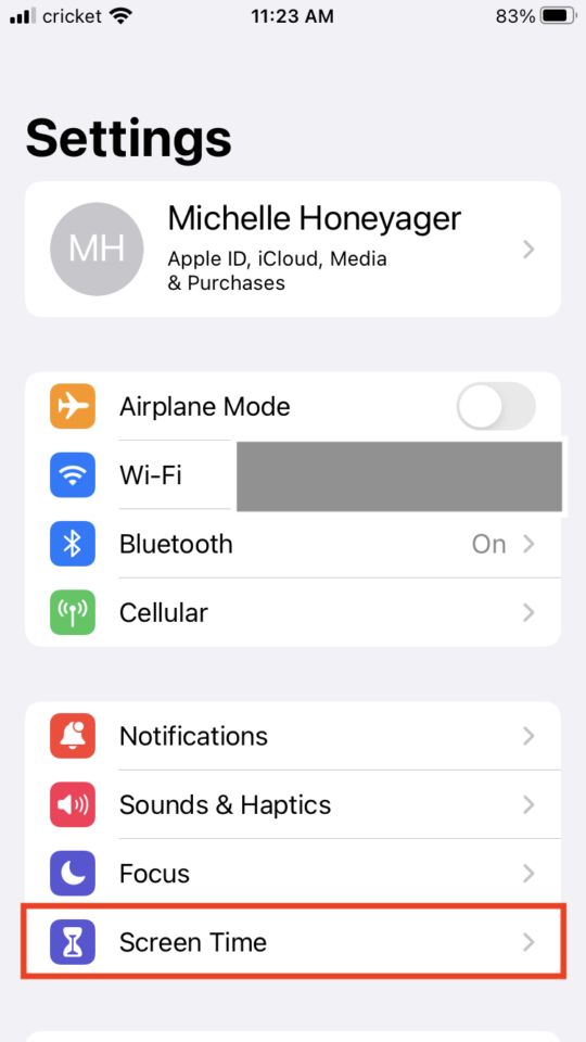 the settings screen on an iphone showing how to set up notifications and other options