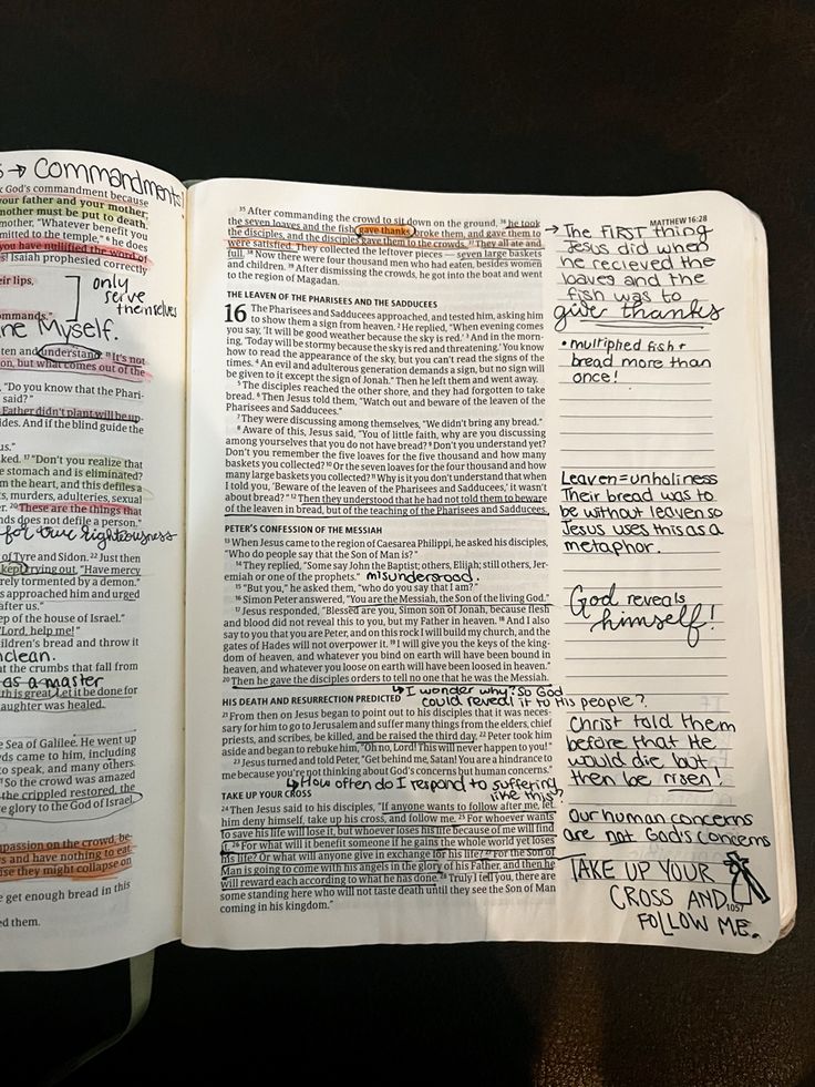 an open bible with writing on it