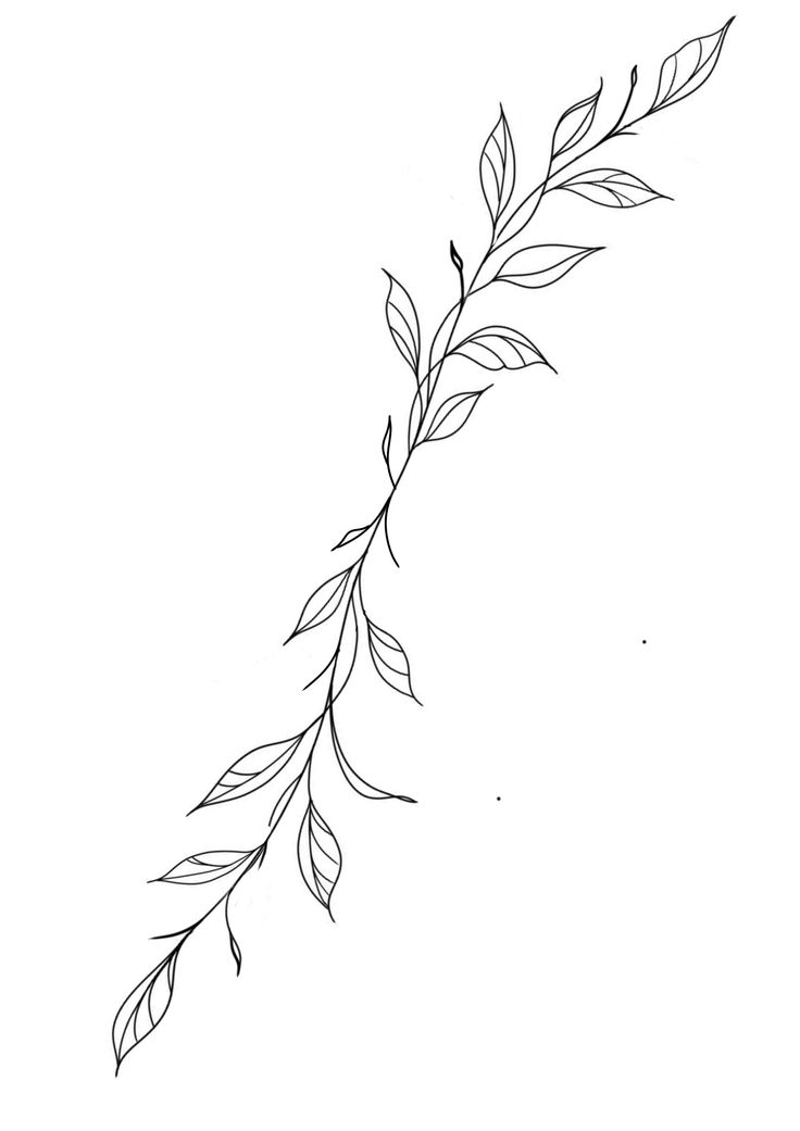 a black and white drawing of a branch with leaves