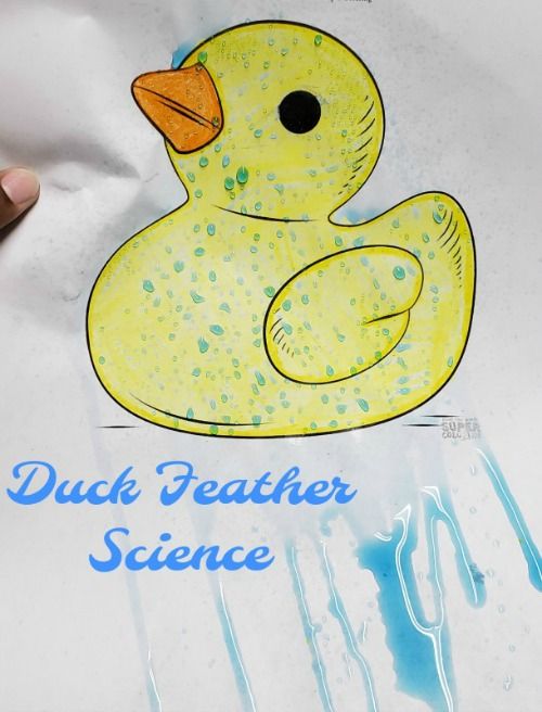 a child's drawing of a duck feathered science project