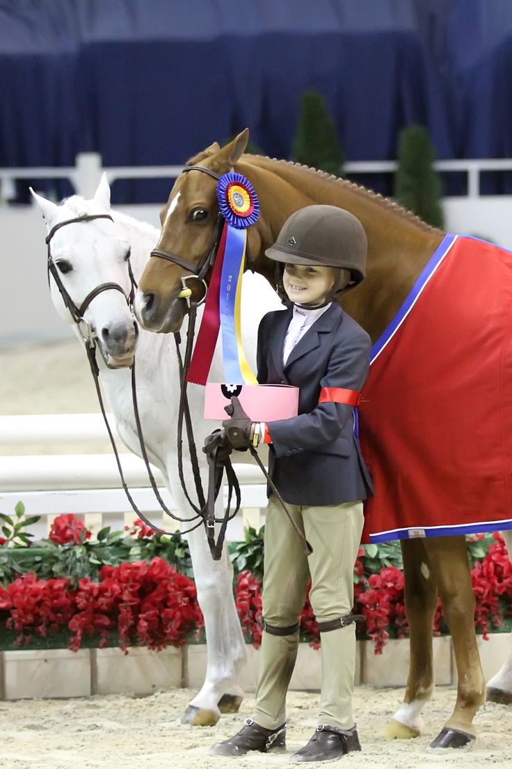 a young boy standing next to a brown horse wearing a red and blue blanket on it's back