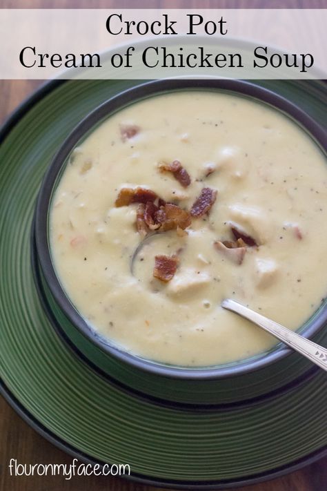 crock pot cream of chicken soup on a green plate with a spoon in it