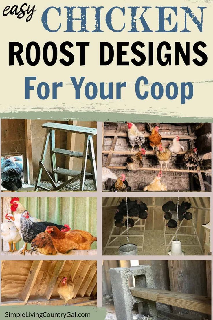 chicken roost designs for your coop are easy to make and can be used in many ways